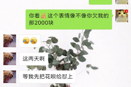 马山为什么选择专业追讨公司来处理您的债务纠纷？